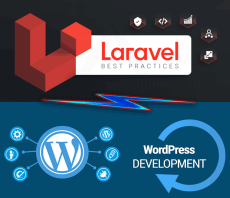 Особенности  разработки CMS WordPress и Laravel